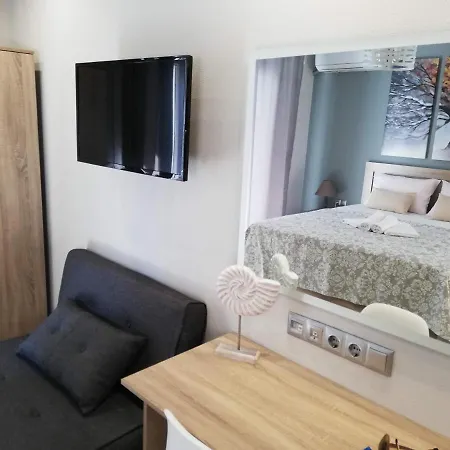 Apartment Haus Viktoria 1 *