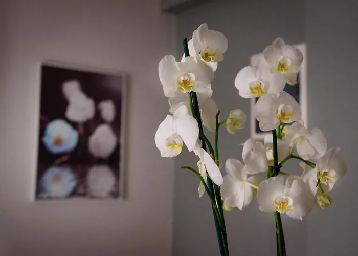 公寓 Haus Viktoria 1